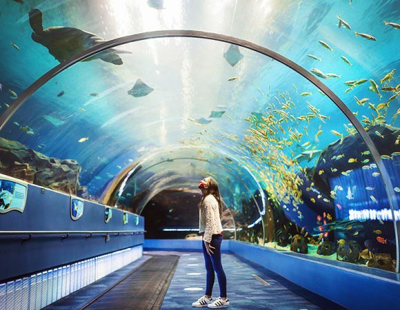 Atlanta Aquarium
