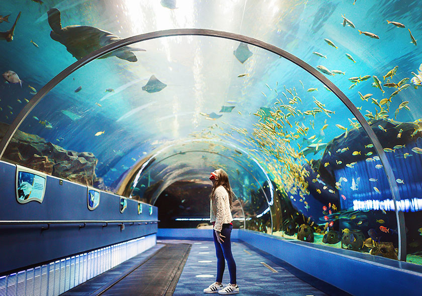 Atlanta Aquarium
