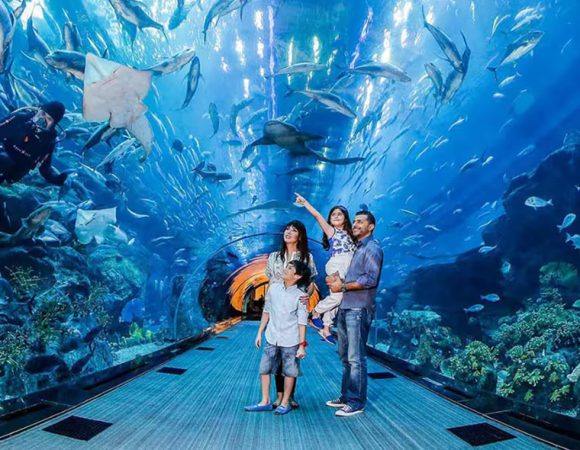Dubai Aquarium