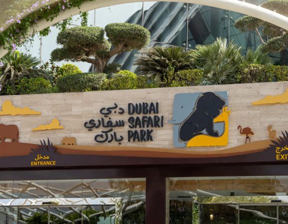 Dubai Safari Park